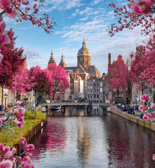 Amsterdam, Netherlands 🌸